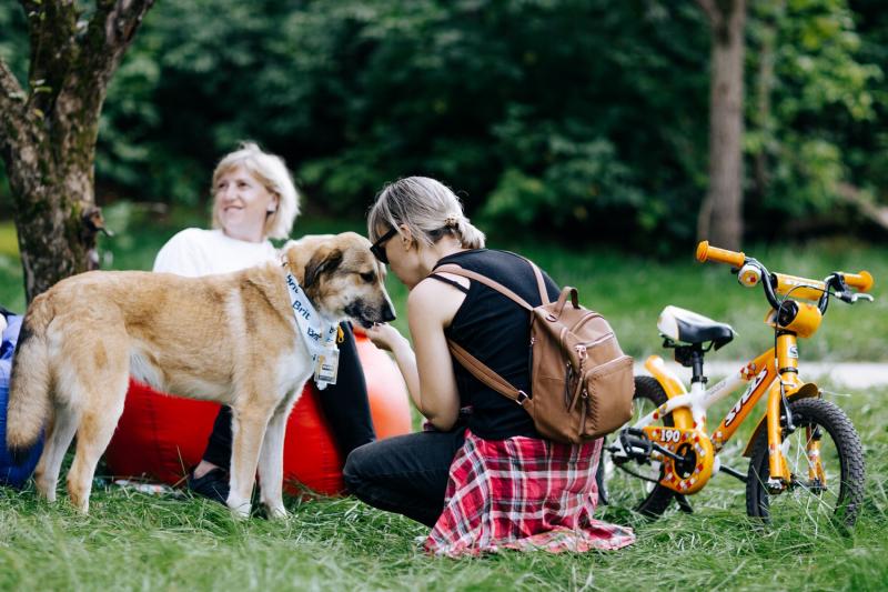 20 августа в парке Событие в Раменках прошел благотворительный фестиваль 