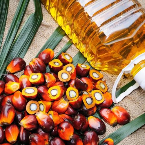 Россияне в опасности? Токсиколог Кутушов объяснил, стоит ли бить тревогу из-за пальмового масла