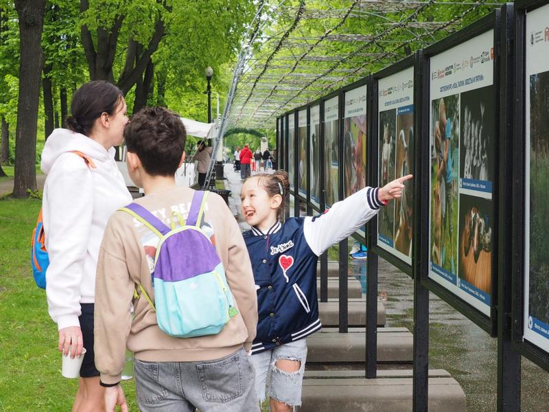 Приглашаем на фотовыставку «Усы, лапки, хвосты и пятки»