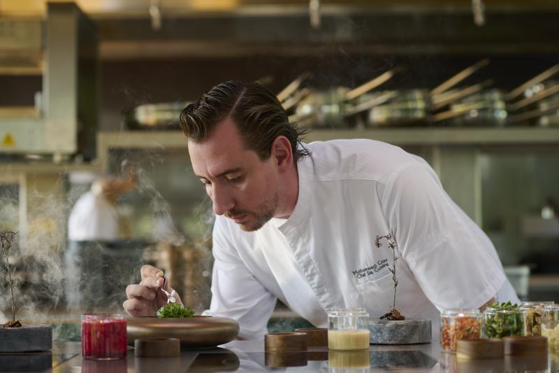 Ферментация во благо здоровья