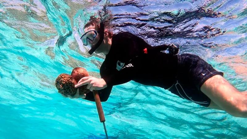 Уборка во имя будущего Земли