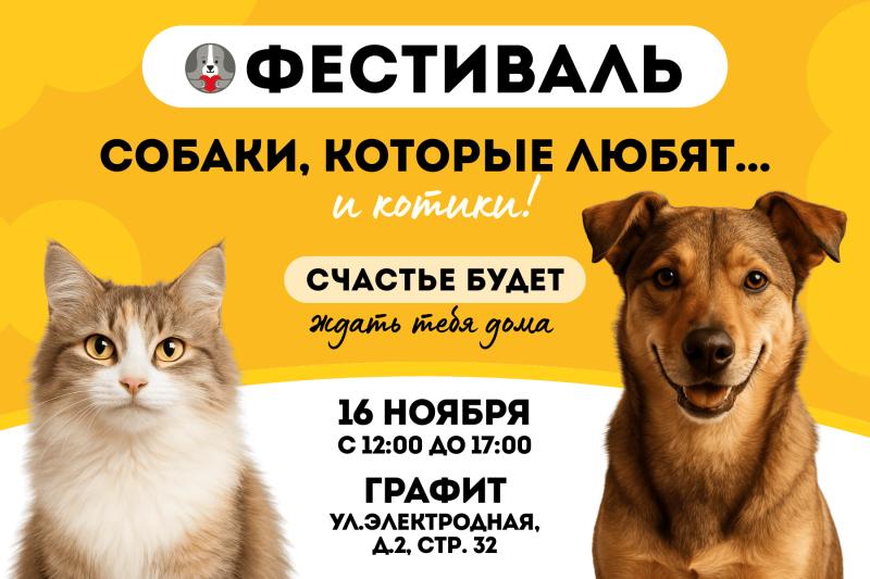 Фестиваль-пристройство «Собаки, которые любят… и котики!» пройдет в Москве 16 ноября