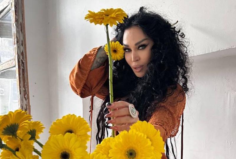 Аделина Панина: как украсить елку на Новый год 2026, чтобы привлечь богатство